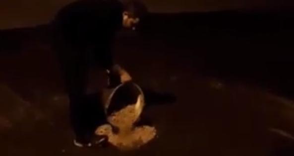 Ростовчанин самостоятельно латает дорожные ямы: видео